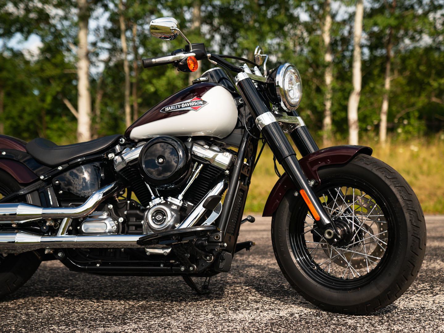2021 Harley-Davidson Softail Slim® in San Antonio, Texas - Photo 16