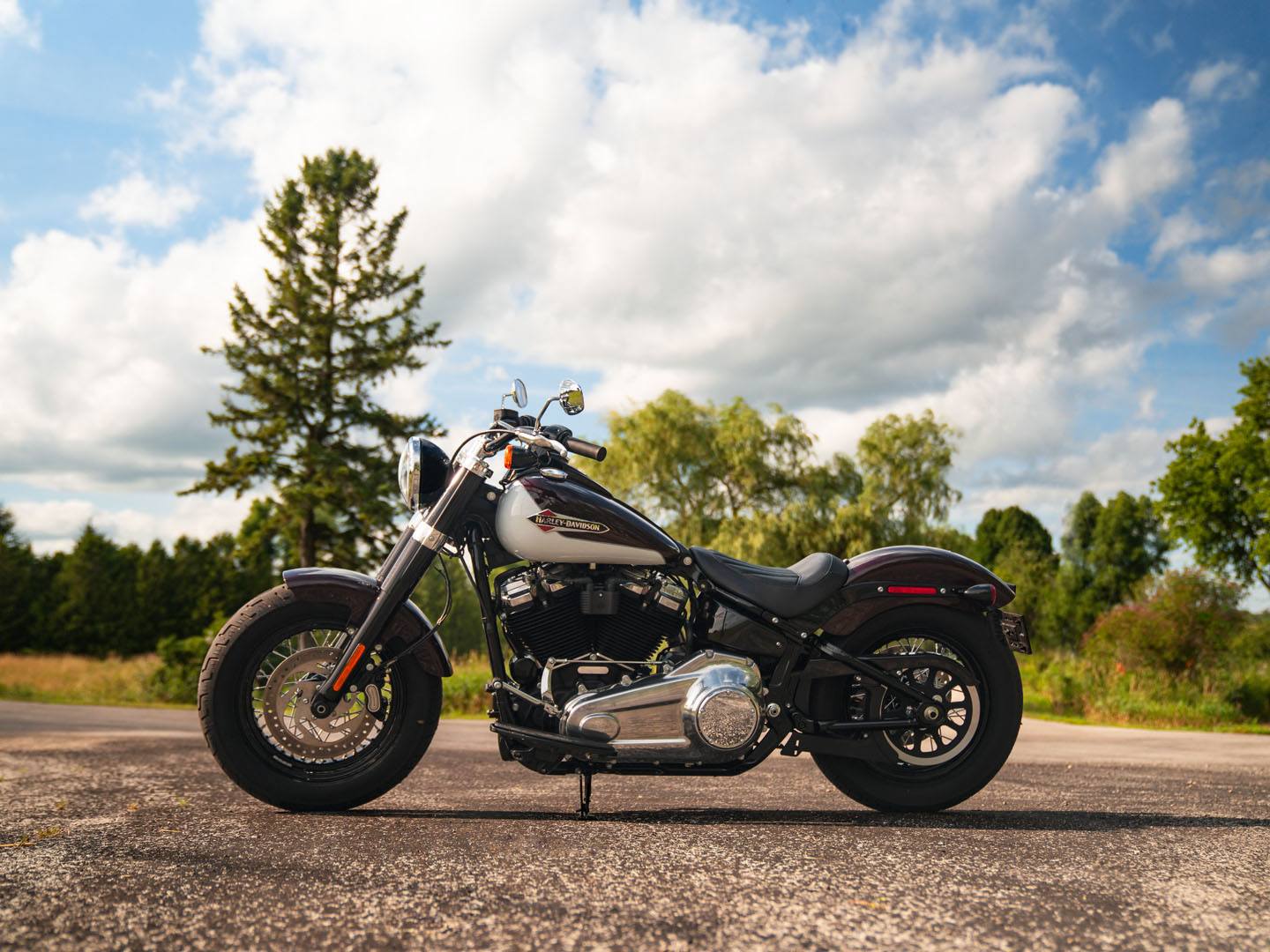2021 Harley-Davidson Softail Slim® in San Antonio, Texas - Photo 17