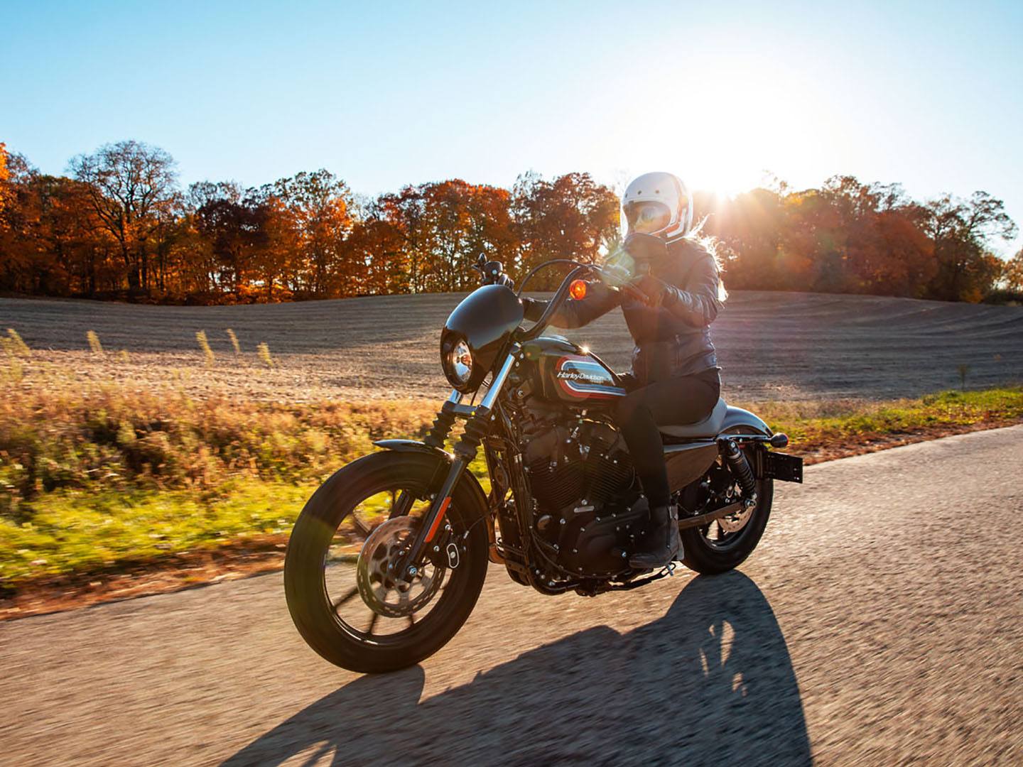 2021 Harley-Davidson Iron 1200™ in San Antonio, Texas - Photo 19