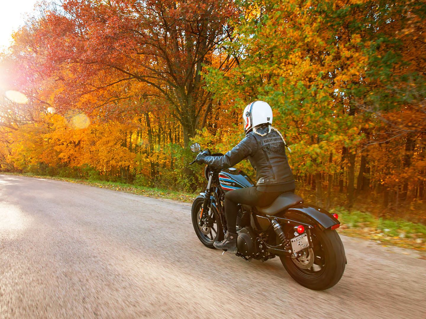 2021 Harley-Davidson Iron 1200™ in San Antonio, Texas - Photo 20