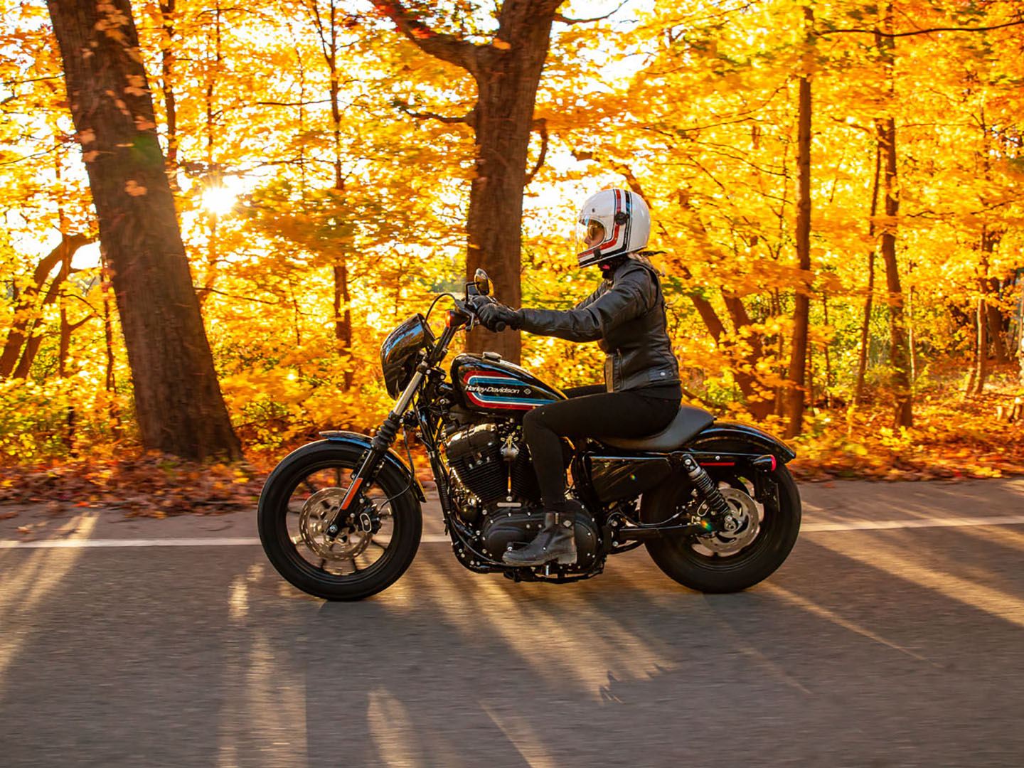 2021 Harley-Davidson Iron 1200™ in San Antonio, Texas - Photo 24
