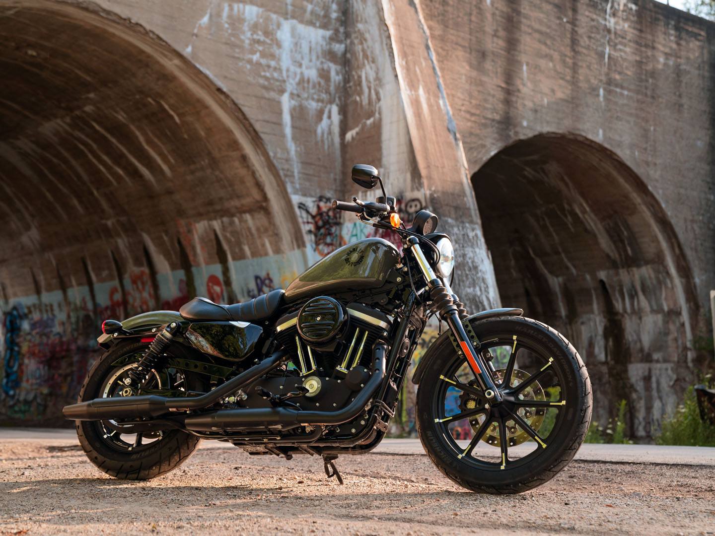 2021 Harley-Davidson Iron 883™ in Burlington, North Carolina - Photo 6