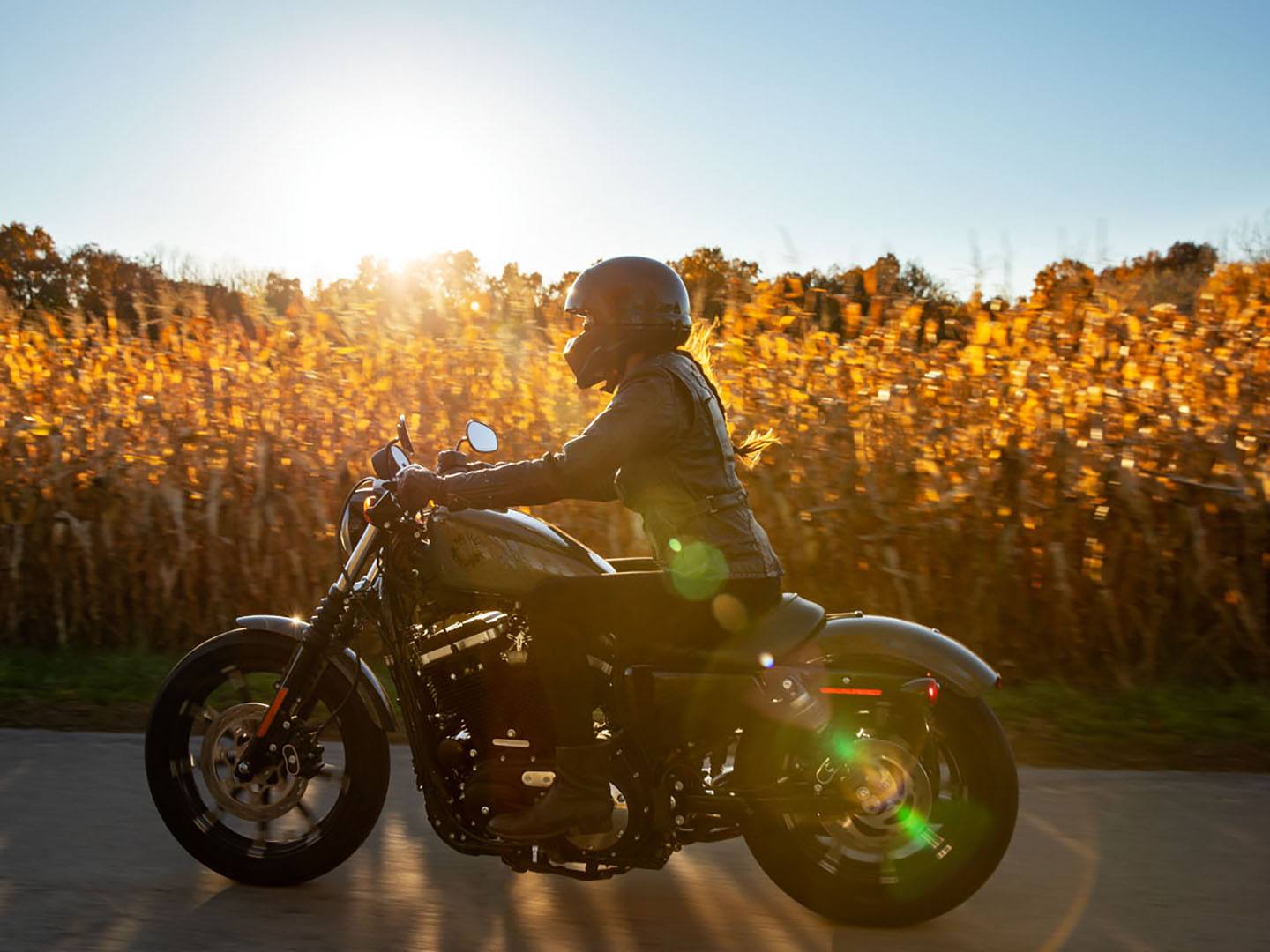2021 Harley-Davidson Iron 883™ in Burlington, North Carolina - Photo 19