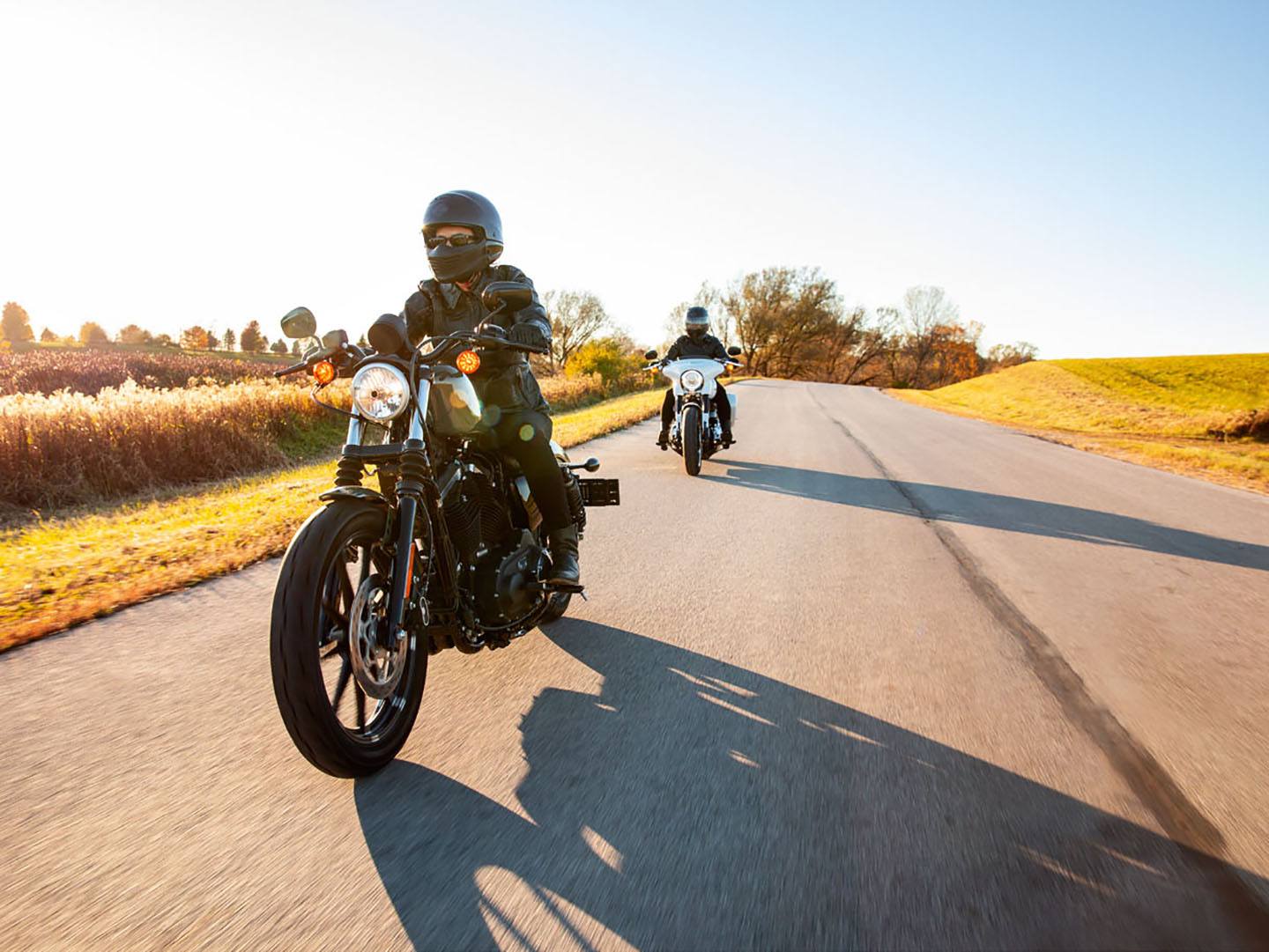 2021 Harley-Davidson Iron 883™ in Burlington, North Carolina - Photo 20