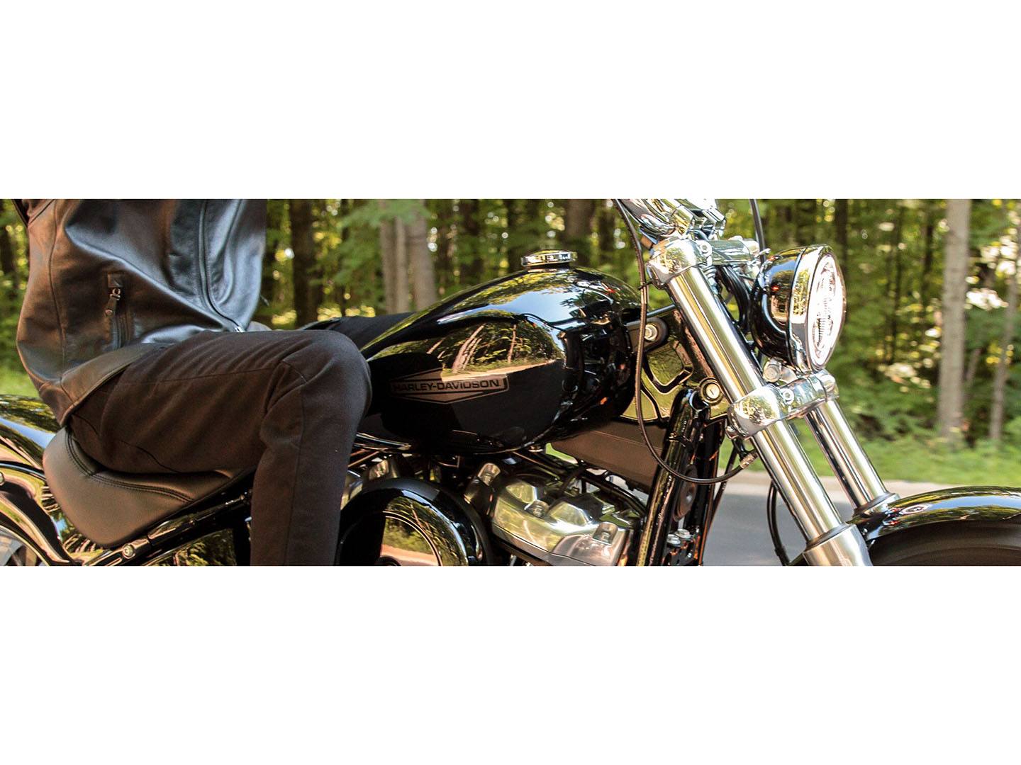 2022 Harley-Davidson Softail® Standard in Greenville, South Carolina - Photo 2