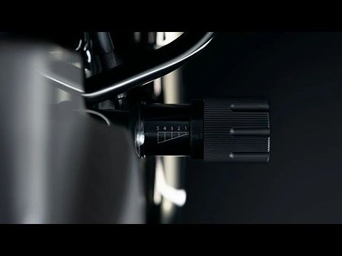 Rear Shocks