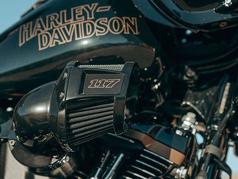 MILWAUKEE-EIGHT® 117 V-TWIN