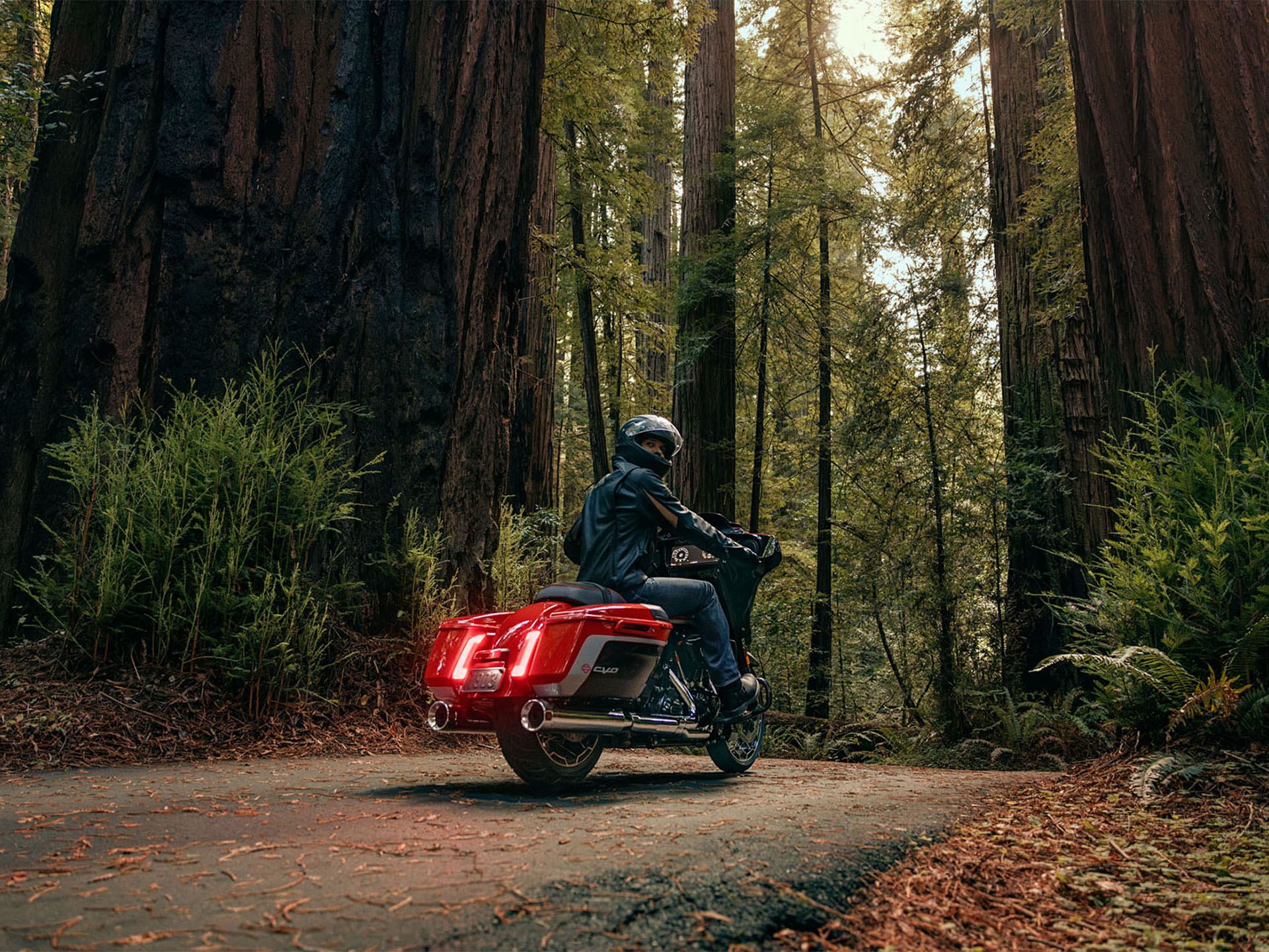 2024 Harley-Davidson CVO™ Street Glide® in Houston, Texas - Photo 10