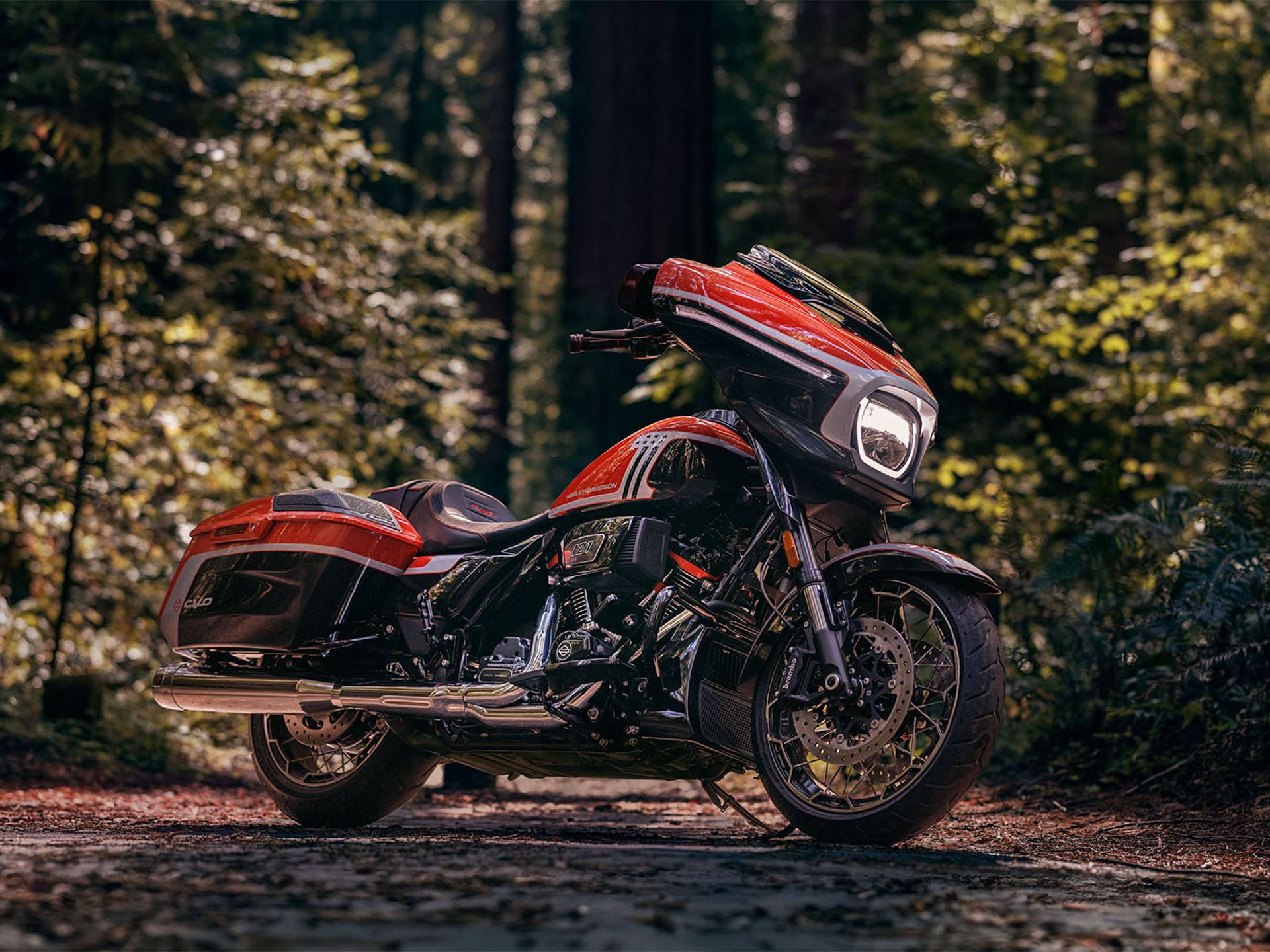 2024 Harley-Davidson CVO™ Street Glide® in Omaha, Nebraska - Photo 13