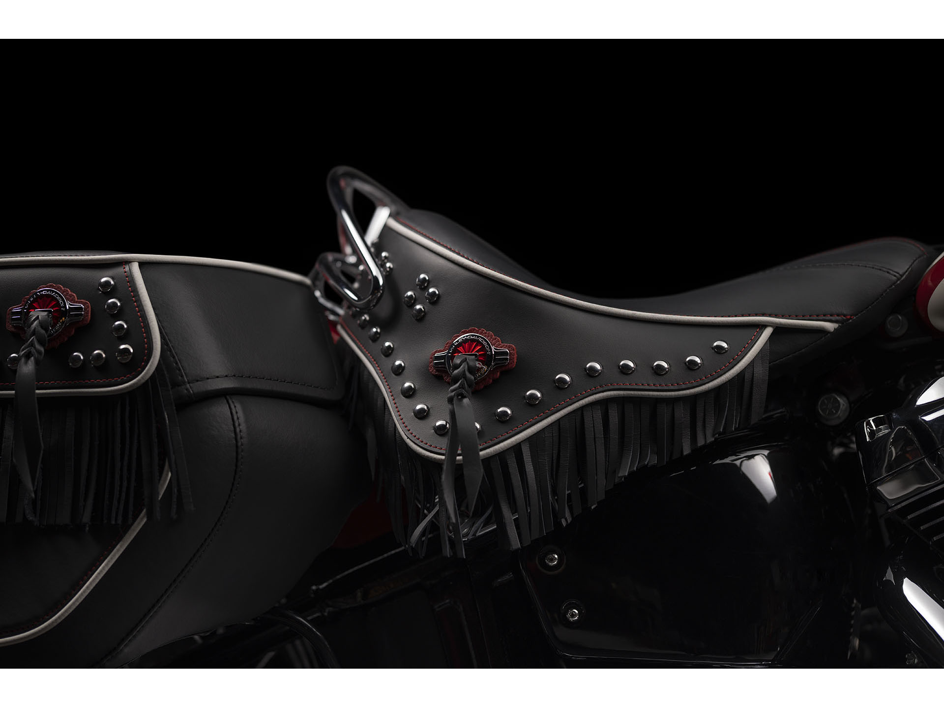 2024 Harley-Davidson Hydra-Glide Revival in Houston, Texas - Photo 10