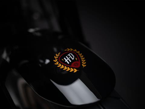 2024 Harley-Davidson Low Rider® ST in Scott, Louisiana - Photo 11
