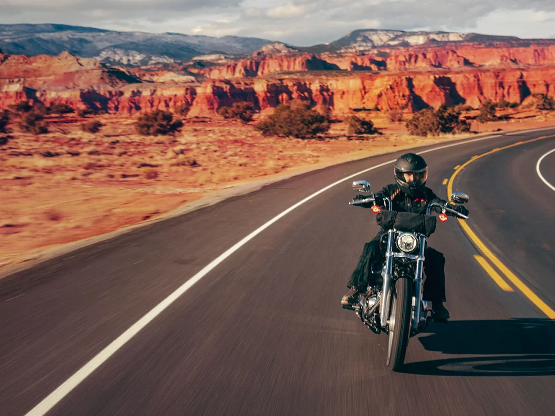 2024 Harley-Davidson Softail® Standard in Houston, Texas - Photo 9