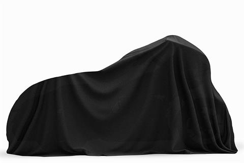 2026 Harley-Davidson Road Glide® 3