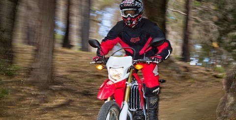 2015 Honda CRF®250L in Tuscaloosa, Alabama - Photo 4