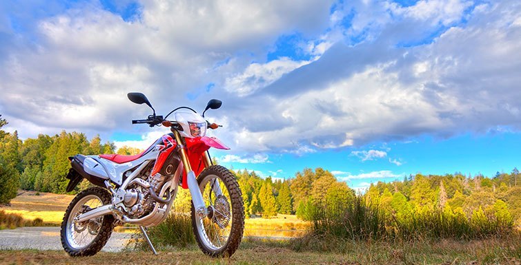 2015 Honda CRF®250L in Tuscaloosa, Alabama - Photo 6