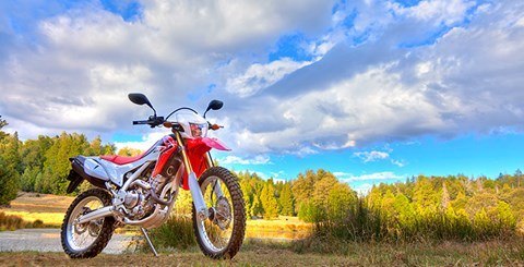 2015 Honda CRF®250L in Tuscaloosa, Alabama - Photo 6