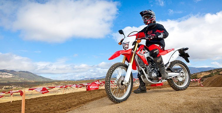 2015 Honda CRF®250L in Tuscaloosa, Alabama - Photo 11