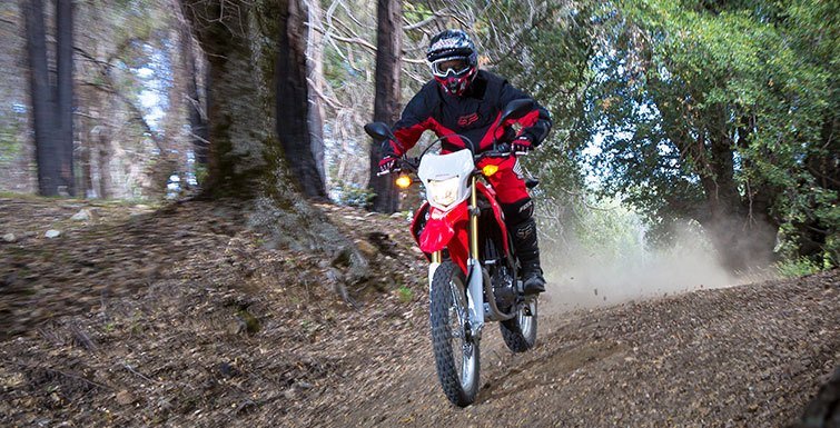 2015 Honda CRF®250L in Tuscaloosa, Alabama - Photo 13