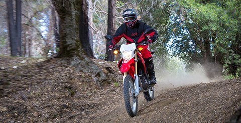 2015 Honda CRF®250L in Tuscaloosa, Alabama - Photo 13