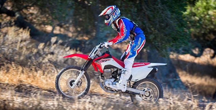 2015 Honda CRF®150F in Saint Maries, Idaho - Photo 3