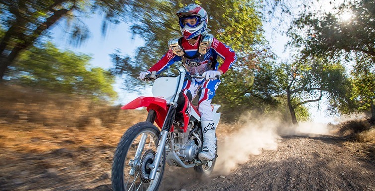 2015 Honda CRF®150F in Saint Maries, Idaho - Photo 11