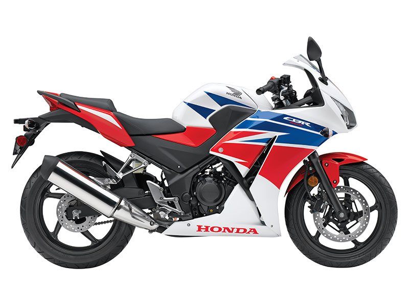 2015 Honda CBR®300R ABS in Santa Maria, California - Photo 1