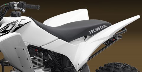 New 2016 Honda TRX250X White | ATVs in Corona CA |