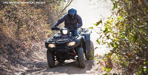 2016 Honda FourTrax Foreman Rubicon 4x4 Automatic DCT EPS in Kaukauna, Wisconsin - Photo 14