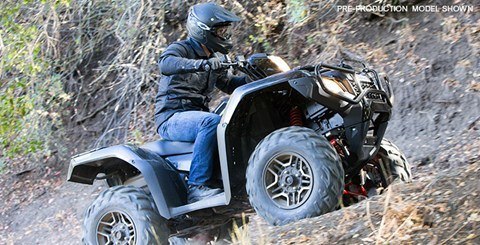 2016 Honda FourTrax Foreman Rubicon 4x4 Automatic DCT EPS in Kaukauna, Wisconsin - Photo 17