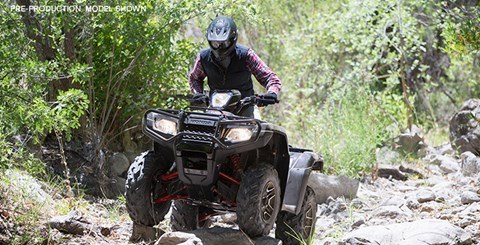 2016 Honda FourTrax Foreman Rubicon 4x4 Automatic DCT EPS in Kaukauna, Wisconsin - Photo 19