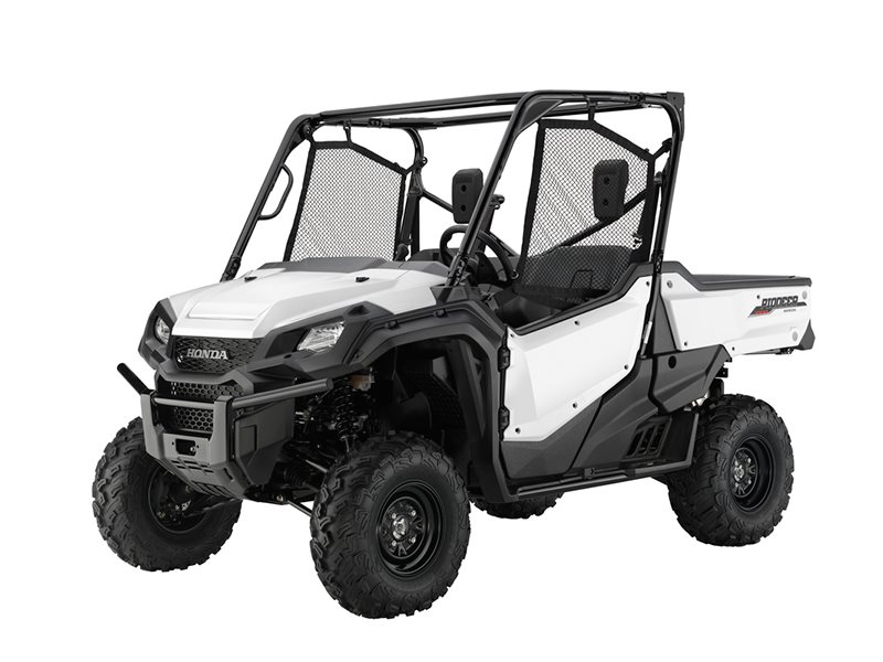 2016 Honda Pioneer 1000 EPS in Yankton, South Dakota - Photo 1