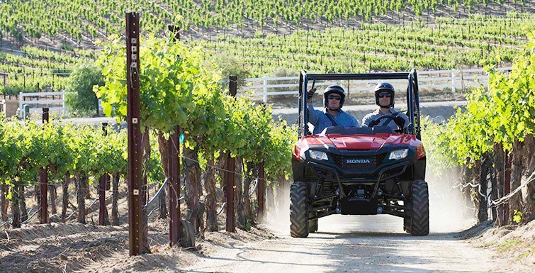 2016 Honda Pioneer 700 in Marietta, Ohio - Photo 16