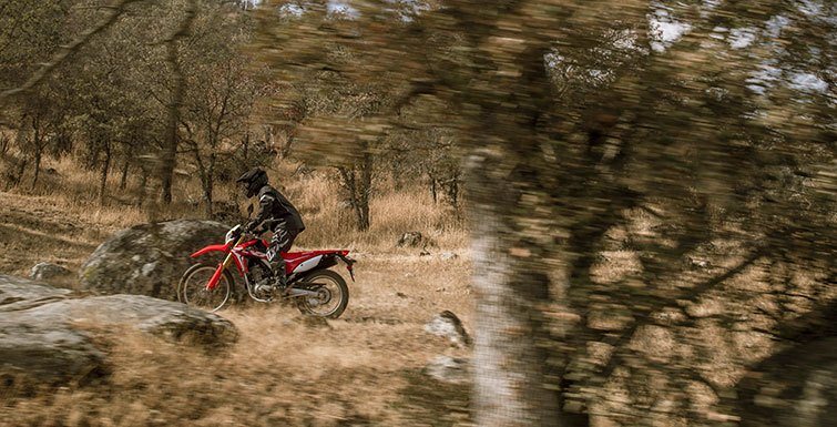 2017 Honda CRF250L in Columbia, Missouri - Photo 3