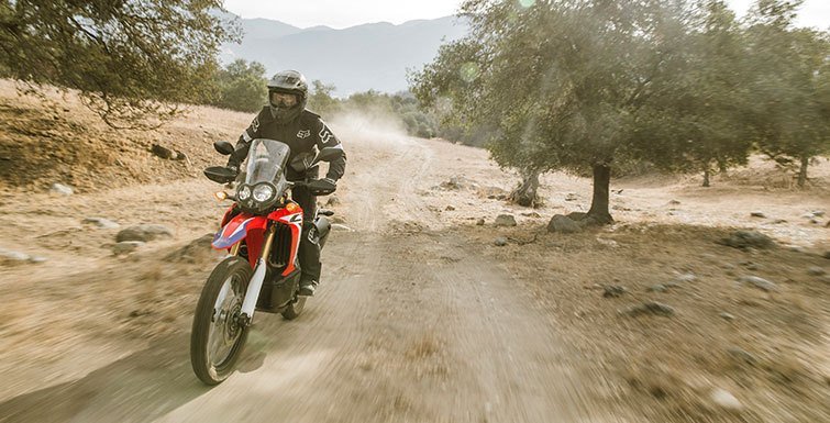 2017 Honda CRF250L in Columbia, Missouri - Photo 5