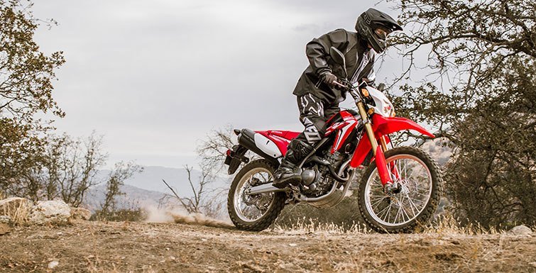 2017 Honda CRF250L in Columbia, Missouri - Photo 6