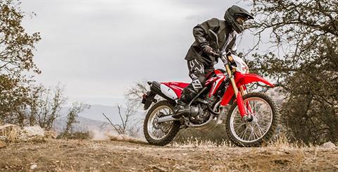 2017 Honda CRF250L in Columbia, Missouri - Photo 6