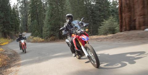 2017 Honda CRF250L in Columbia, Missouri - Photo 7