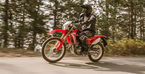 2017 Honda CRF250L in Columbia, Missouri - Photo 8