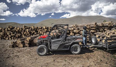 2019 Honda Pioneer 1000-5 LE in Bloomsburg, Pennsylvania - Photo 9