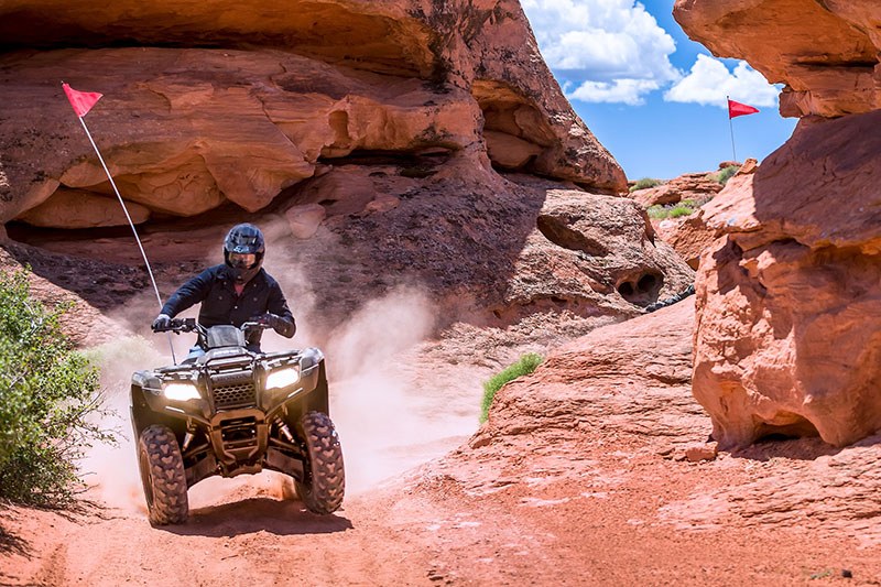 2021 Honda FourTrax Rancher 4x4 Automatic DCT EPS 6