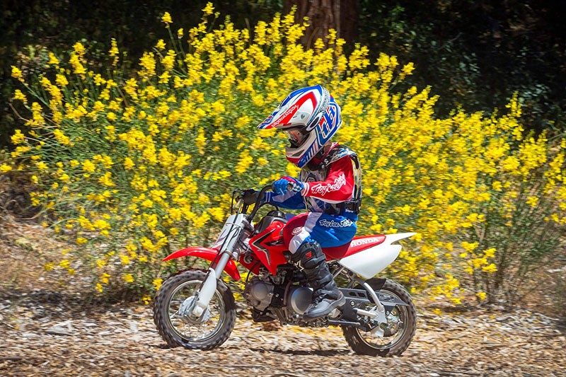 2021 Honda CRF50F in West Bridgewater, Massachusetts - Photo 4