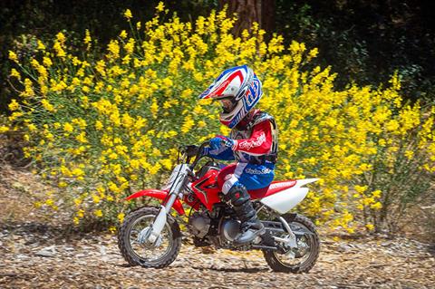 2021 Honda CRF50F in West Bridgewater, Massachusetts - Photo 4