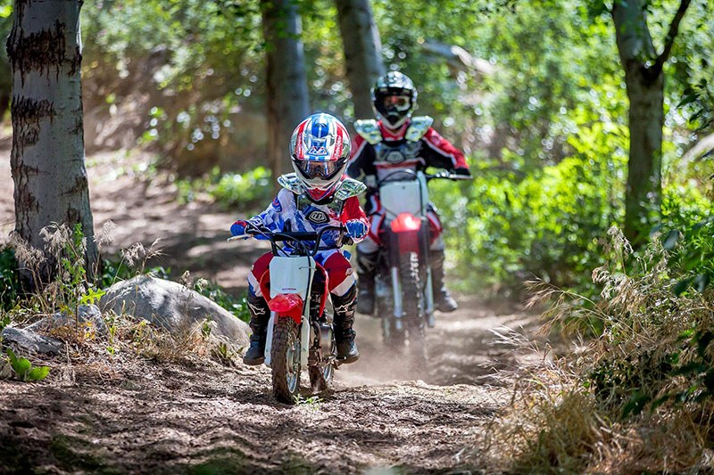2021 Honda CRF50F in West Bridgewater, Massachusetts - Photo 6
