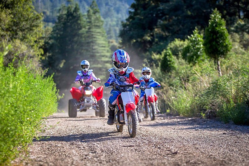 2021 Honda CRF50F in West Bridgewater, Massachusetts - Photo 7