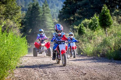 2021 Honda CRF50F in West Bridgewater, Massachusetts - Photo 7