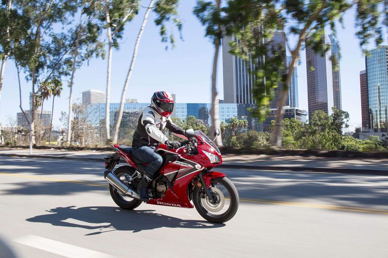 2021 Honda CBR300R in Manchester, New Hampshire - Photo 15