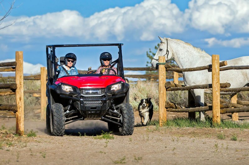 2021 Honda Pioneer 1000 in Tuscaloosa, Alabama - Photo 6