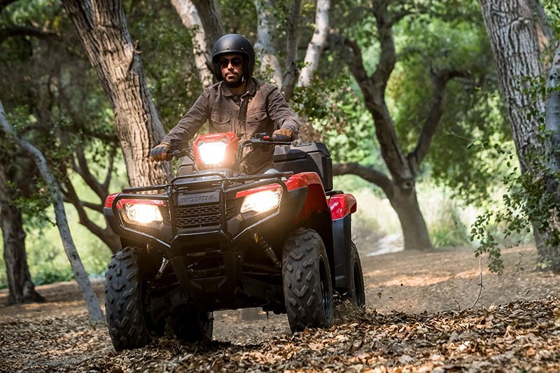 2022 Honda FourTrax Foreman 4x4 EPS in Columbus, Ohio - Photo 6
