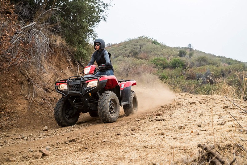 2022 Honda FourTrax Foreman 4x4 EPS in Columbus, Ohio - Photo 11