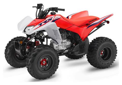 Honda 250 quad bike outlet